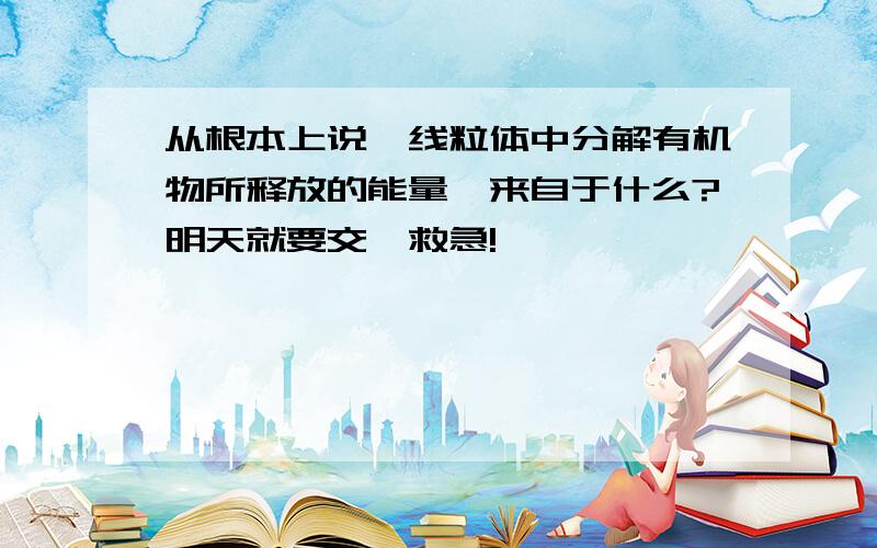 从根本上说,线粒体中分解有机物所释放的能量,来自于什么?明天就要交,救急!