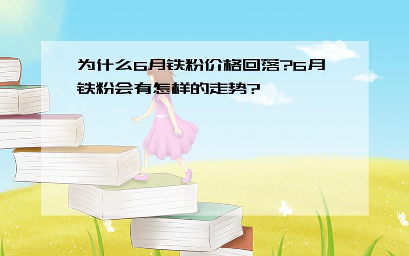 为什么6月铁粉价格回落?6月铁粉会有怎样的走势?