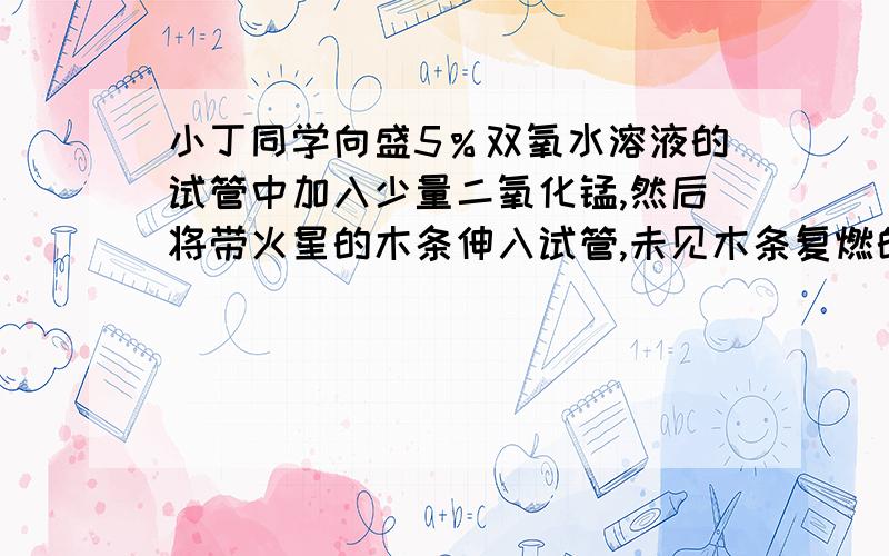 小丁同学向盛5％双氧水溶液的试管中加入少量二氧化锰,然后将带火星的木条伸入试管,未见木条复燃的原因是什么