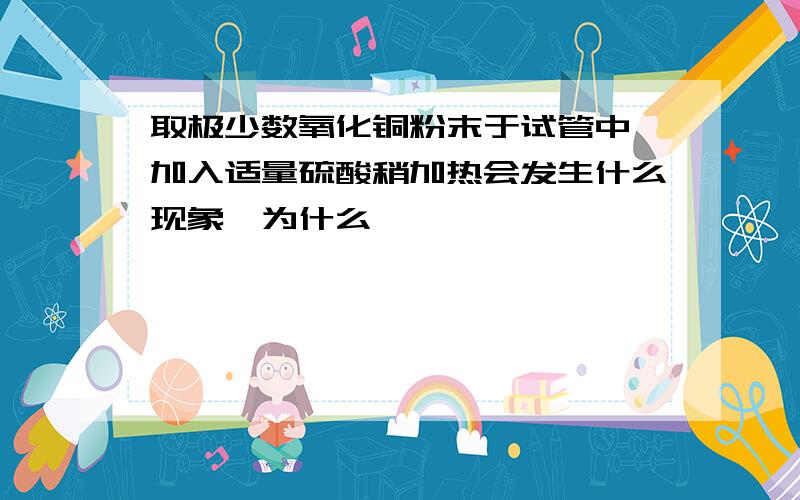 取极少数氧化铜粉末于试管中,加入适量硫酸稍加热会发生什么现象,为什么