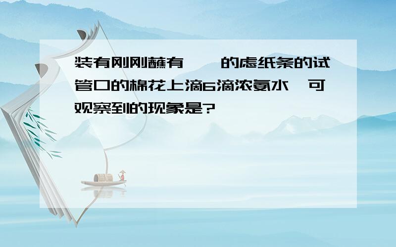 装有刚刚蘸有酚酞的虑纸条的试管口的棉花上滴6滴浓氨水,可观察到的现象是?