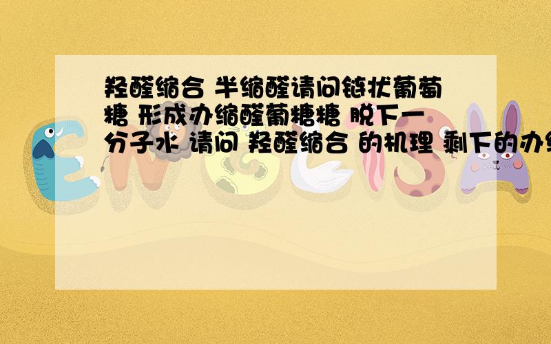 羟醛缩合 半缩醛请问链状葡萄糖 形成办缩醛葡糖糖 脱下一分子水 请问 羟醛缩合 的机理 剩下的办缩醛羟基中的氧 是 反应前 羟基的还是 反应前醛基的?