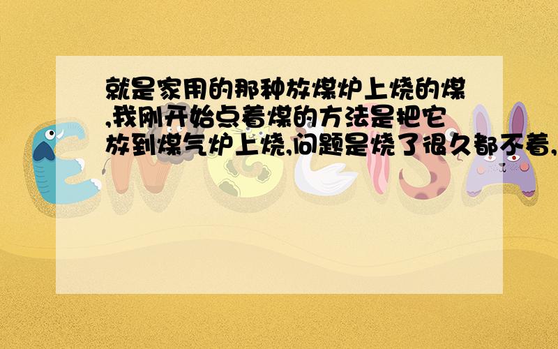 就是家用的那种放煤炉上烧的煤,我刚开始点着煤的方法是把它放到煤气炉上烧,问题是烧了很久都不着,一般来说煤要点多久才着的?