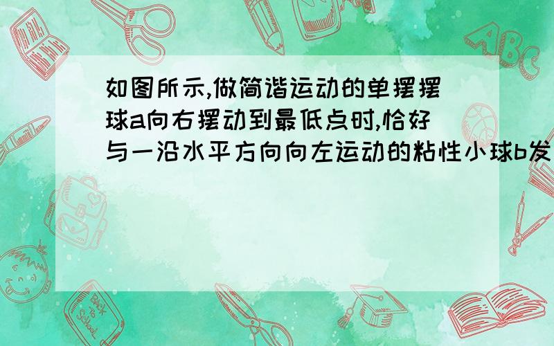 如图所示,做简谐运动的单摆摆球a向右摆动到最低点时,恰好与一沿水平方向向左运动的粘性小球b发生碰撞,