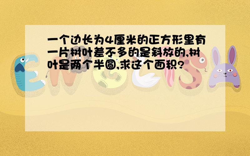 一个边长为4厘米的正方形里有一片树叶差不多的是斜放的,树叶是两个半圆,求这个面积?