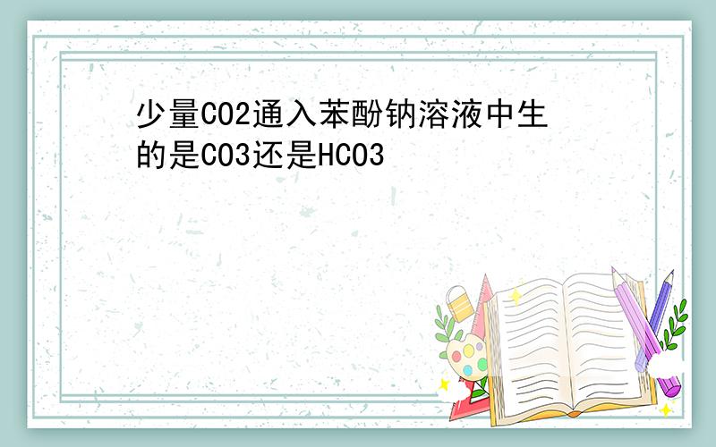 少量CO2通入苯酚钠溶液中生的是CO3还是HCO3