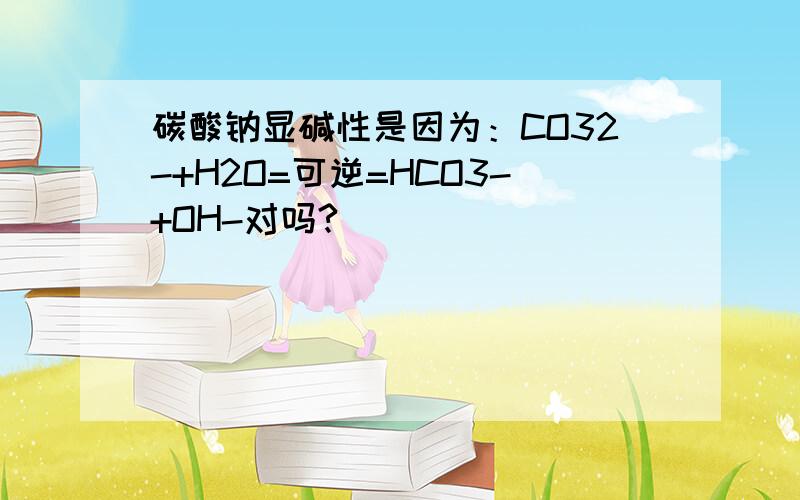 碳酸钠显碱性是因为：CO32-+H2O=可逆=HCO3-+OH-对吗?