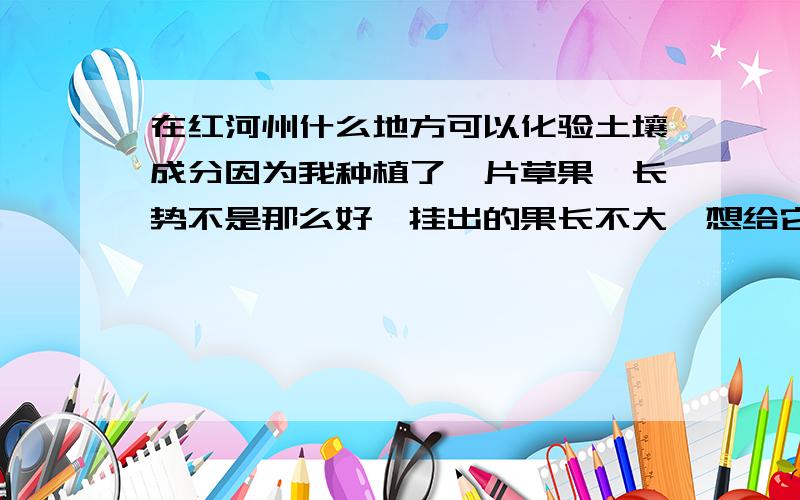 在红河州什么地方可以化验土壤成分因为我种植了一片草果,长势不是那么好,挂出的果长不大,想给它施点儿肥,但又不知道施什么肥好,想请有识之士帮帮忙.我种植了一片草果,长势不是那么好