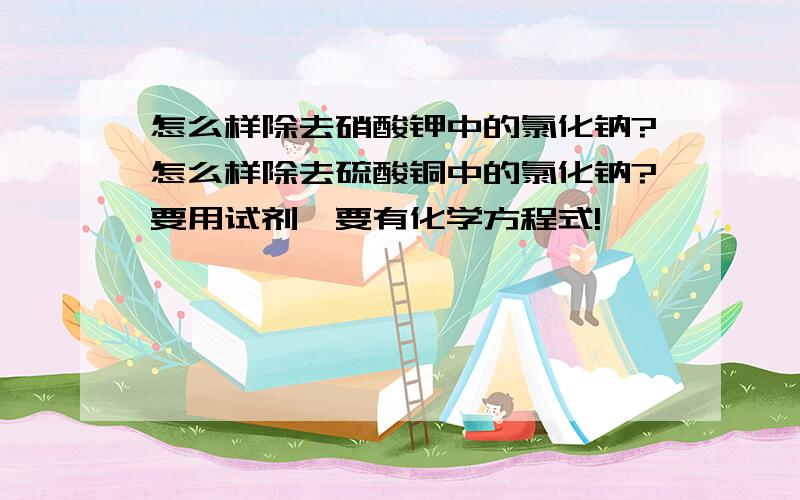 怎么样除去硝酸钾中的氯化钠?怎么样除去硫酸铜中的氯化钠?要用试剂,要有化学方程式!