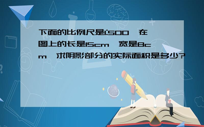 下面的比例尺是1:500,在图上的长是15cm,宽是8cm,求阴影部分的实际面积是多少?