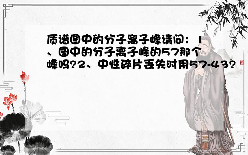 质谱图中的分子离子峰请问：1、图中的分子离子峰的57那个峰吗?2、中性碎片丢失时用57-43?