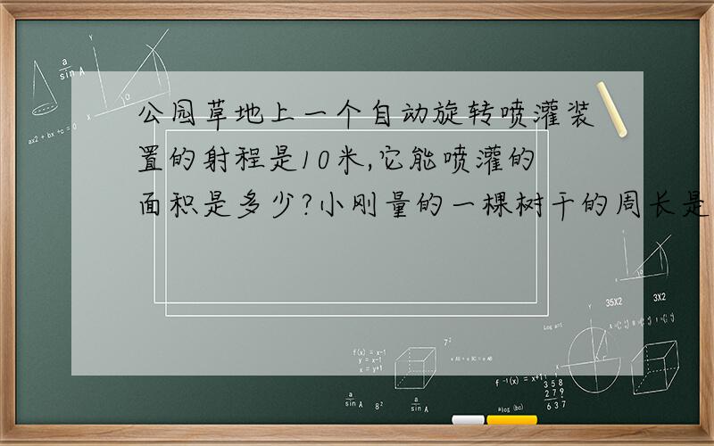 公园草地上一个自动旋转喷灌装置的射程是10米,它能喷灌的面积是多少?小刚量的一棵树干的周长是125.6厘米.这棵树干的横截面积近似于圆,它的面积大约是多少?