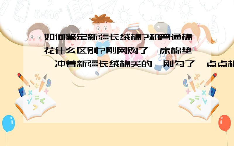 如何鉴定新疆长绒棉?和普通棉花什么区别?刚网购了一床棉垫,冲着新疆长绒棉买的,刚勾了一点点棉丝,感觉不是很长啊,跟湖南棉花长度没区别.但东西确实是从新疆石河子发快递过来的.如何