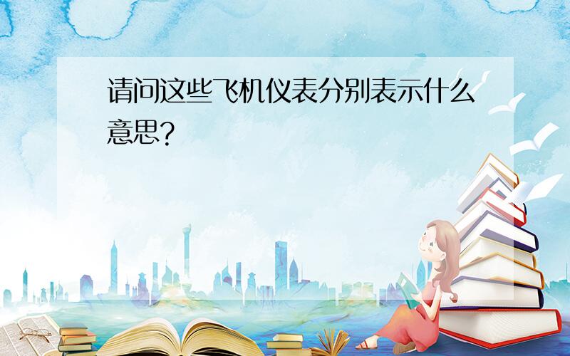 请问这些飞机仪表分别表示什么意思?