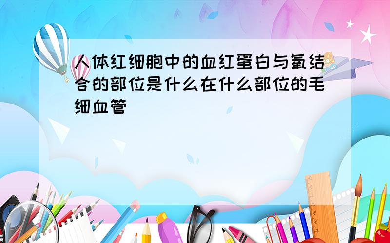 人体红细胞中的血红蛋白与氧结合的部位是什么在什么部位的毛细血管