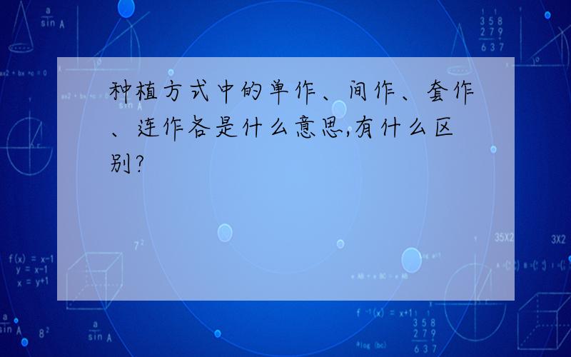 种植方式中的单作、间作、套作、连作各是什么意思,有什么区别?