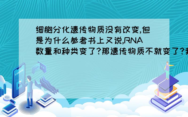 细胞分化遗传物质没有改变,但是为什么参考书上又说,RNA数量和种类变了?那遗传物质不就变了?我知道遗传物质不改变，只是这两个不是矛盾了？