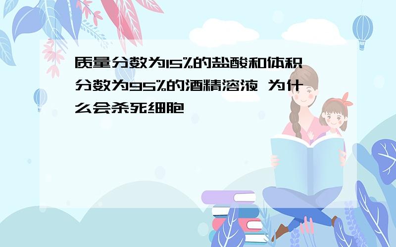 质量分数为15%的盐酸和体积分数为95%的酒精溶液 为什么会杀死细胞