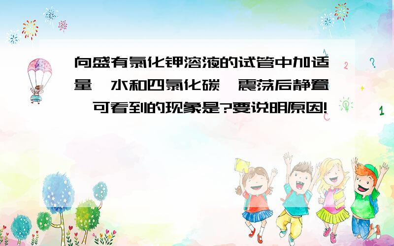 向盛有氯化钾溶液的试管中加适量溴水和四氯化碳,震荡后静置,可看到的现象是?要说明原因!