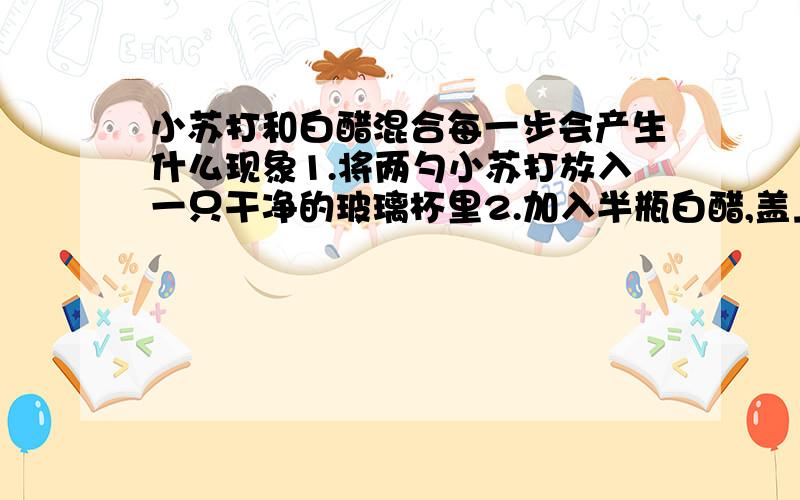 小苏打和白醋混合每一步会产生什么现象1.将两勺小苏打放入一只干净的玻璃杯里2.加入半瓶白醋,盖上硬纸片,轻轻摇动玻璃杯3.观察玻璃杯内物质的变化,通过触摸感受杯子的温度变化4.去下