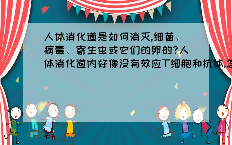 人体消化道是如何消灭,细菌、病毒、寄生虫或它们的卵的?人体消化道内好像没有效应T细胞和抗体,怎么消灭侵入人体消化道内的病原体呢?胃酸和有益菌，谁杀灭病原体的数量最多？小肠和