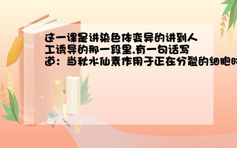 这一课是讲染色体变异的讲到人工诱导的那一段里,有一句话写道：当秋水仙素作用于正在分裂的细胞时,能够抑制纺锤体的形成,导致染色体不能够移向细胞两极,从而引起细胞内染色体数目加