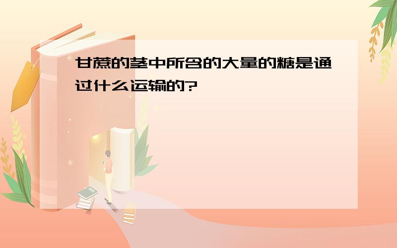 甘蔗的茎中所含的大量的糖是通过什么运输的?