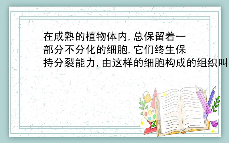 在成熟的植物体内,总保留着一部分不分化的细胞,它们终生保持分裂能力,由这样的细胞构成的组织叫（）组织.这群细胞的共同特点是细胞个体（）,细胞壁（）,细胞核（）,细胞质（）,具有