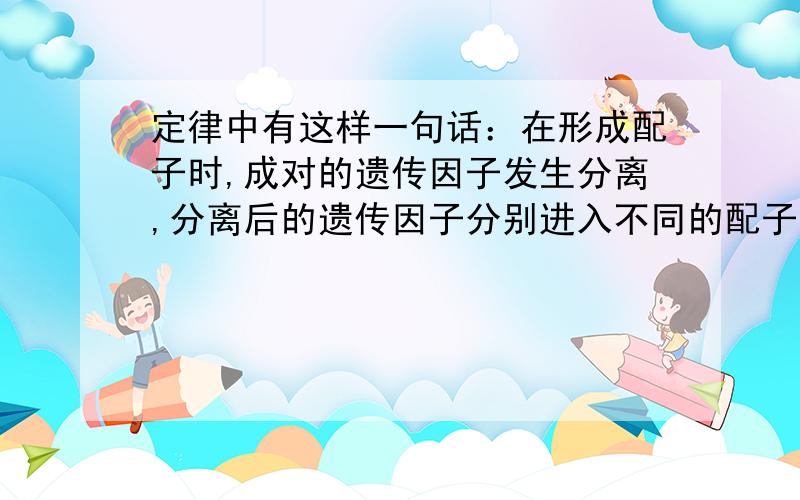 定律中有这样一句话：在形成配子时,成对的遗传因子发生分离,分离后的遗传因子分别进入不同的配子中,…….那么在研究高茎豌豆与矮茎豌豆的杂交试验中亲本：高茎（DD）×矮茎（dd）配子