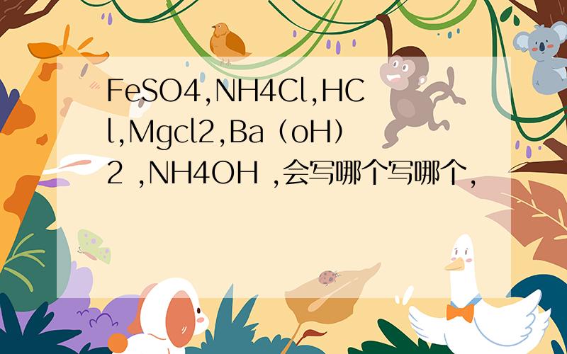 FeSO4,NH4Cl,HCl,Mgcl2,Ba（oH）2 ,NH4OH ,会写哪个写哪个,