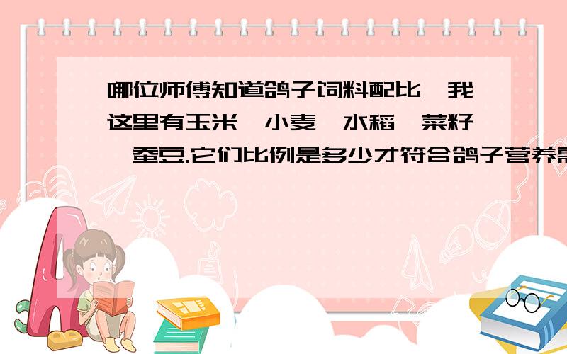 哪位师傅知道鸽子饲料配比,我这里有玉米、小麦、水稻、菜籽、蚕豆.它们比例是多少才符合鸽子营养需要.