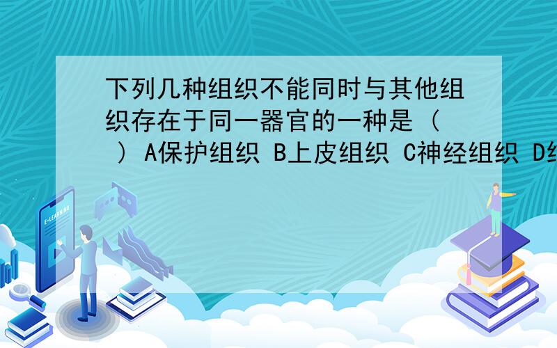 下列几种组织不能同时与其他组织存在于同一器官的一种是 ( ) A保护组织 B上皮组织 C神经组织 D结缔组织