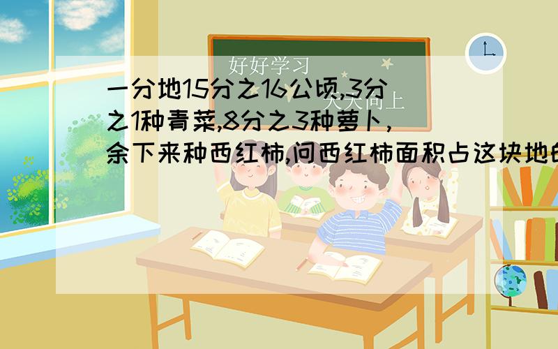 一分地15分之16公顷,3分之1种青菜,8分之3种萝卜,余下来种西红柿,问西红柿面积占这块地的几分之几