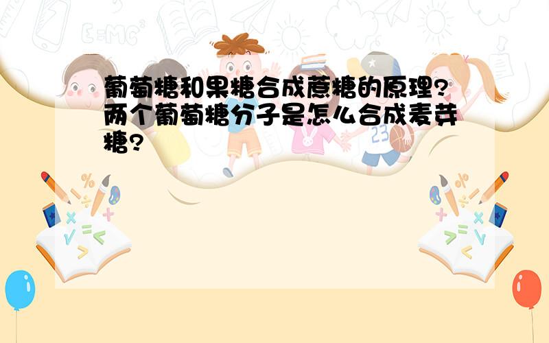 葡萄糖和果糖合成蔗糖的原理?两个葡萄糖分子是怎么合成麦芽糖?