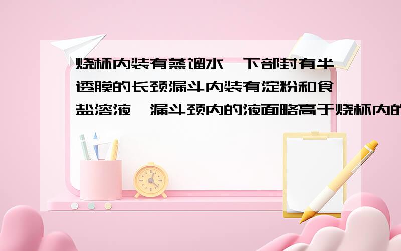 烧杯内装有蒸馏水,下部封有半透膜的长颈漏斗内装有淀粉和食盐溶液,漏斗颈内的液面略高于烧杯内的蒸馏水的液面,一段时间后用碘液和硝酸银溶液分别检验蒸馏水中的物质.整个实验过程中