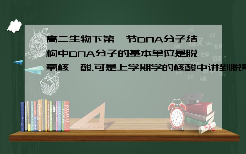 高二生物下第一节DNA分子结构中DNA分子的基本单位是脱氧核苷酸.可是上学期学的核酸中讲到脱氧核糖核酸.核糖核酸.核糖核苷酸.脱氧核糖核苷酸.那么脱氧核苷酸于其他四者有什么区别么?并