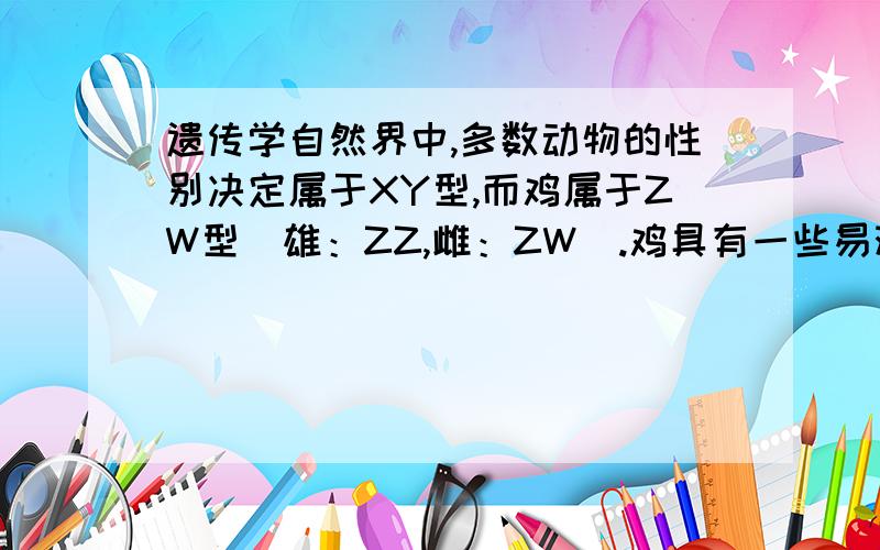 遗传学自然界中,多数动物的性别决定属于XY型,而鸡属于ZW型（雄：ZZ,雌：ZW）.鸡具有一些易观察的性状,且不同相对性状之间的差别明显,易于分辨,因此常作为遗传研究的实验材料.下面是一组