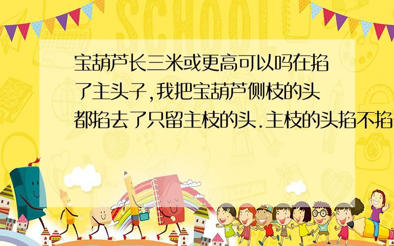 宝葫芦长三米或更高可以吗在掐了主头子,我把宝葫芦侧枝的头都掐去了只留主枝的头.主枝的头掐不掐一直不掐吗,现在两米开花了不久枯萎.第二天又开了一朵,开花要做什么,我没有种过宝葫