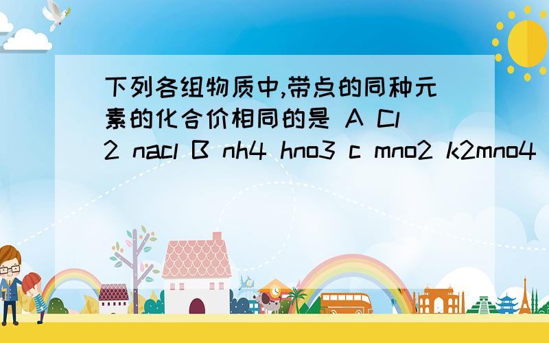 下列各组物质中,带点的同种元素的化合价相同的是 A Cl2 nacl B nh4 hno3 c mno2 k2mno4 d p2o5 ca3(po4)2