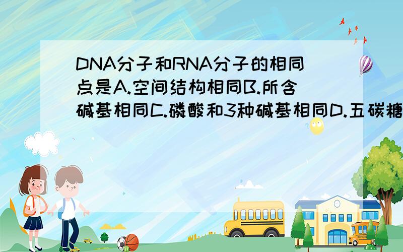 DNA分子和RNA分子的相同点是A.空间结构相同B.所含碱基相同C.磷酸和3种碱基相同D.五碳糖相同