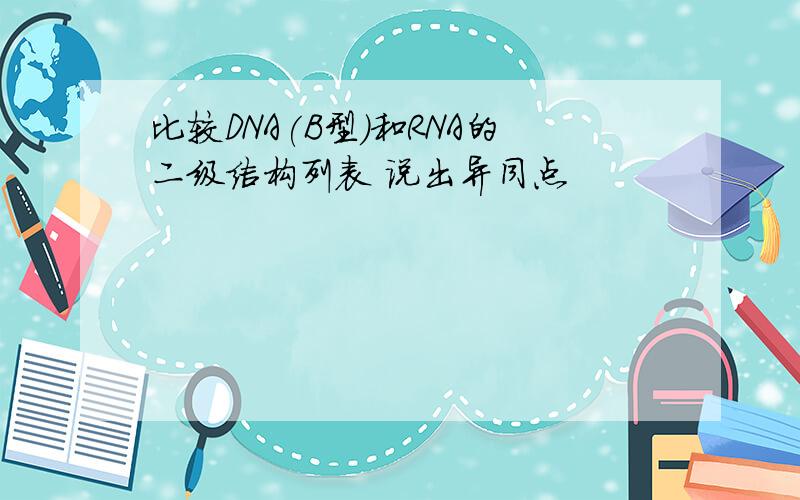 比较DNA(B型)和RNA的二级结构列表 说出异同点