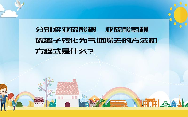 分别将亚硫酸根,亚硫酸氢根,硫离子转化为气体除去的方法和方程式是什么?