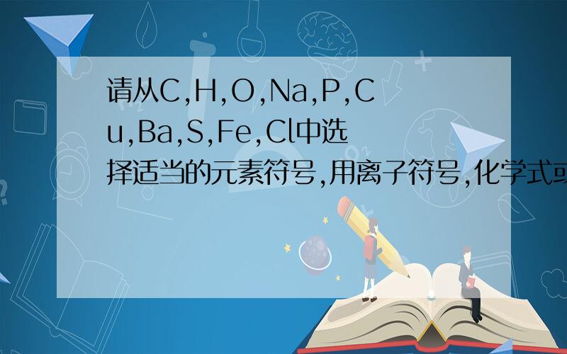 请从C,H,O,Na,P,Cu,Ba,S,Fe,Cl中选择适当的元素符号,用离子符号,化学式或化学方程式按下列要求填空: