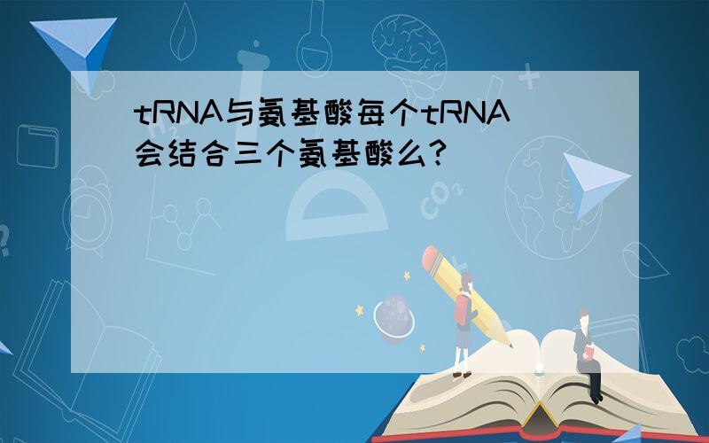 tRNA与氨基酸每个tRNA会结合三个氨基酸么?