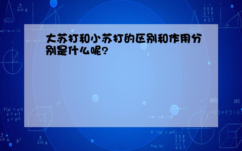 大苏打和小苏打的区别和作用分别是什么呢?