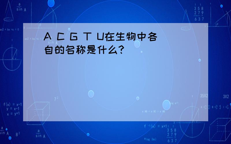 A C G T U在生物中各自的名称是什么?