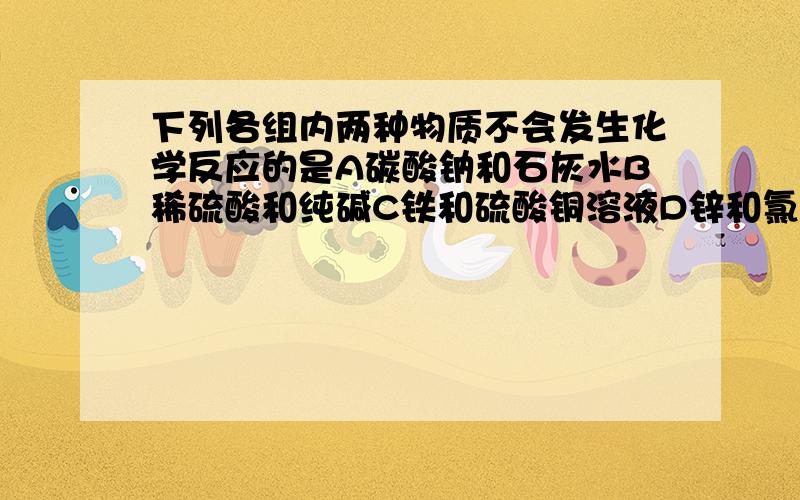 下列各组内两种物质不会发生化学反应的是A碳酸钠和石灰水B稀硫酸和纯碱C铁和硫酸铜溶液D锌和氯化镁溶液