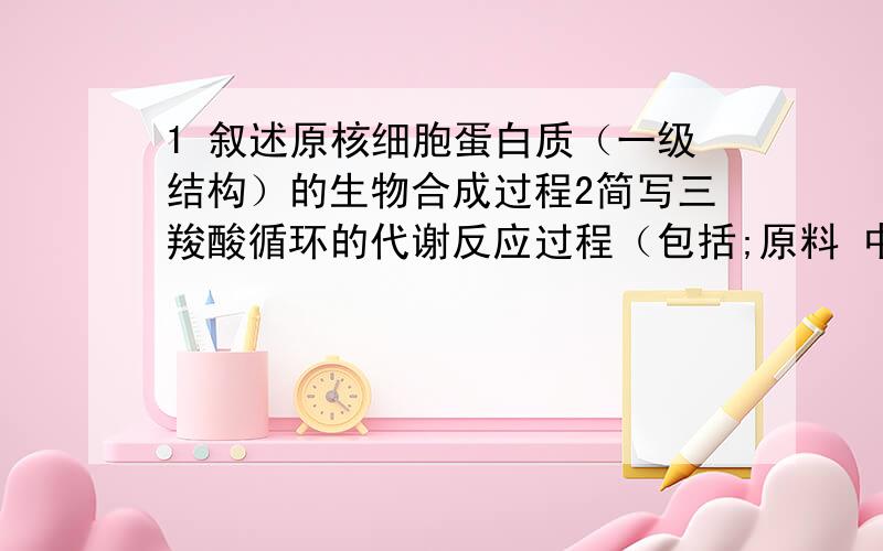 1 叙述原核细胞蛋白质（一级结构）的生物合成过程2简写三羧酸循环的代谢反应过程（包括;原料 中间体 产物 酶的名称 指出限速酶） 计算一个循环能产生多少个ATP3叙述棕榈油酸的B氧化过