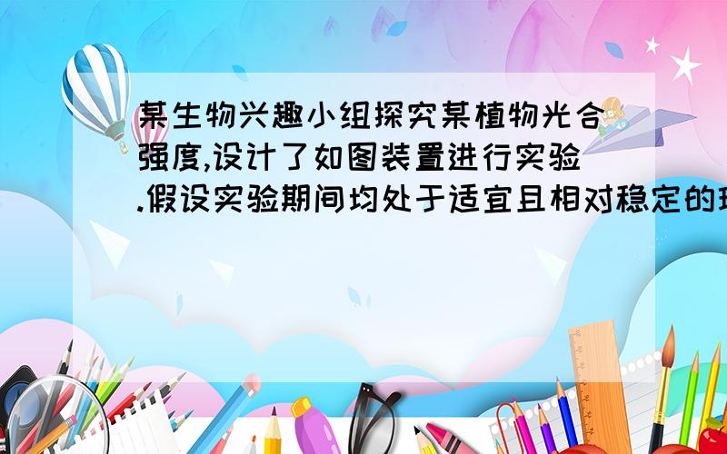 某生物兴趣小组探究某植物光合强度,设计了如图装置进行实验.假设实验期间均处于适宜且相对稳定的环境条件下.请分析回答有关问题：36.实验一：测定植物呼吸作用强度时,烧杯中加入______