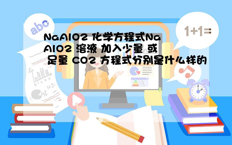 NaAlO2 化学方程式NaAlO2 溶液 加入少量 或 足量 CO2 方程式分别是什么样的